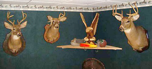 Property photo 17 - Personal Property Auction for the Avid Hunter/Outdoorsman also Including Collectibles, Households and More